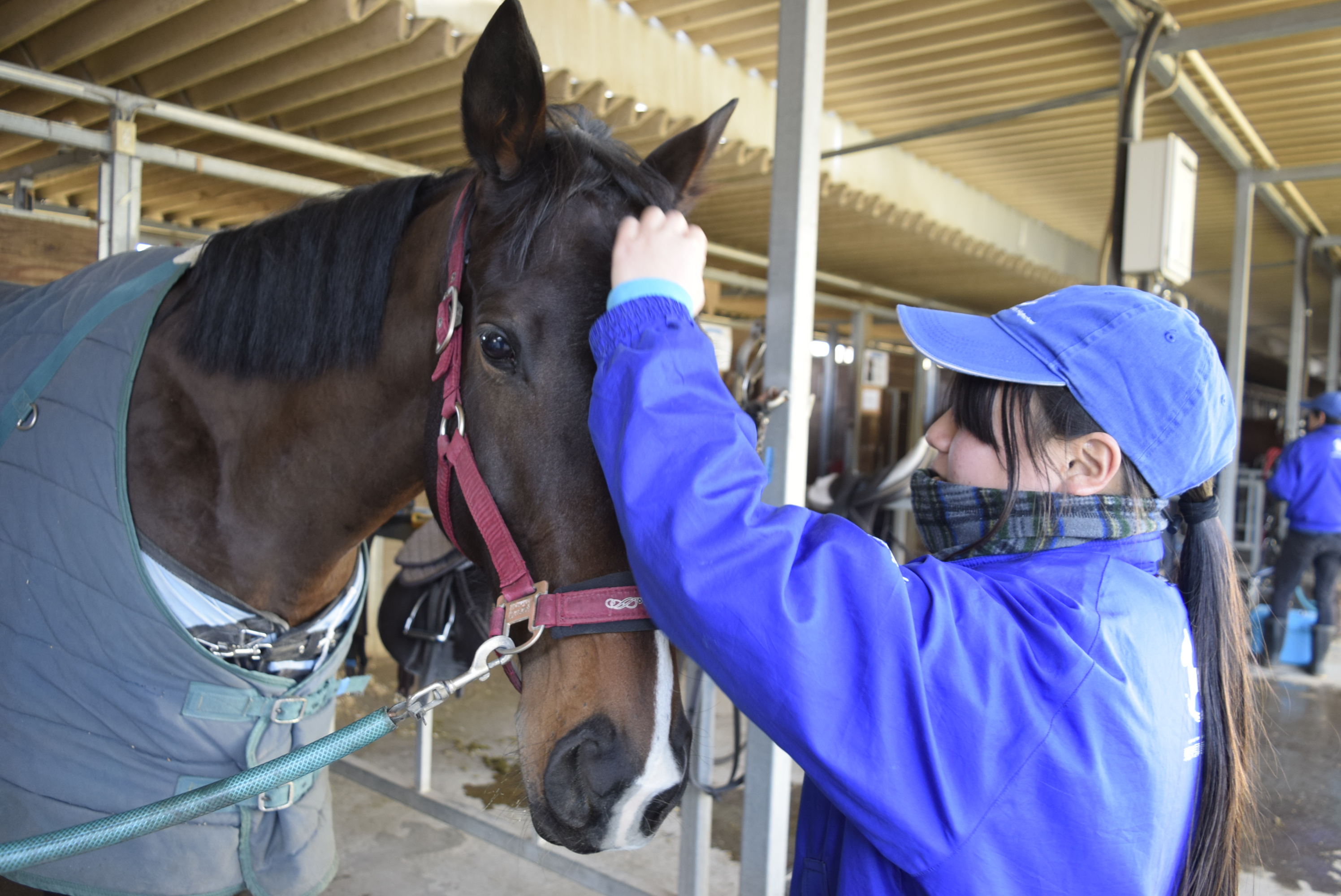 馬のお世話・飼養管理