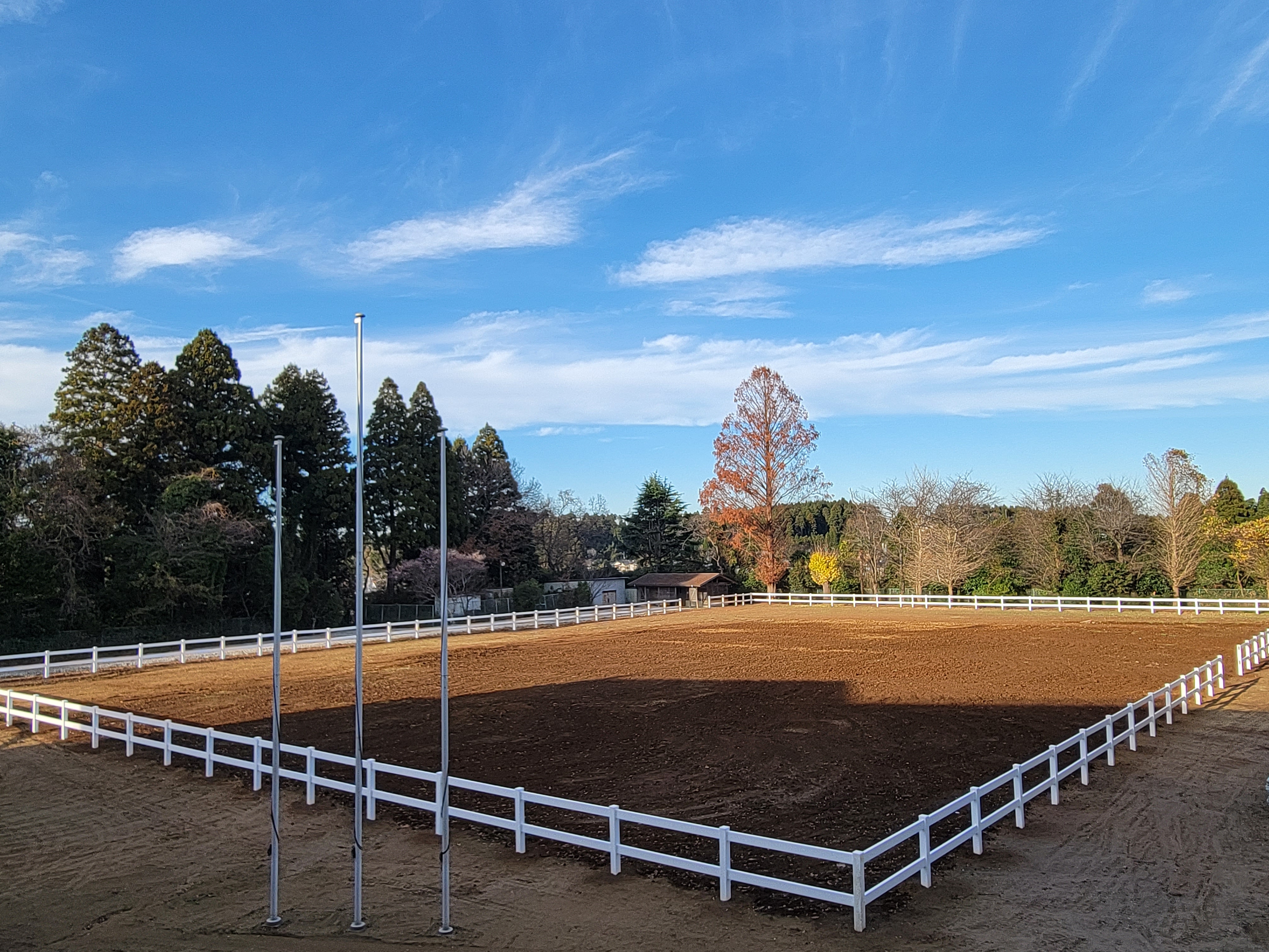 馬場:馬と過ごす毎日の中心になるメインエリア