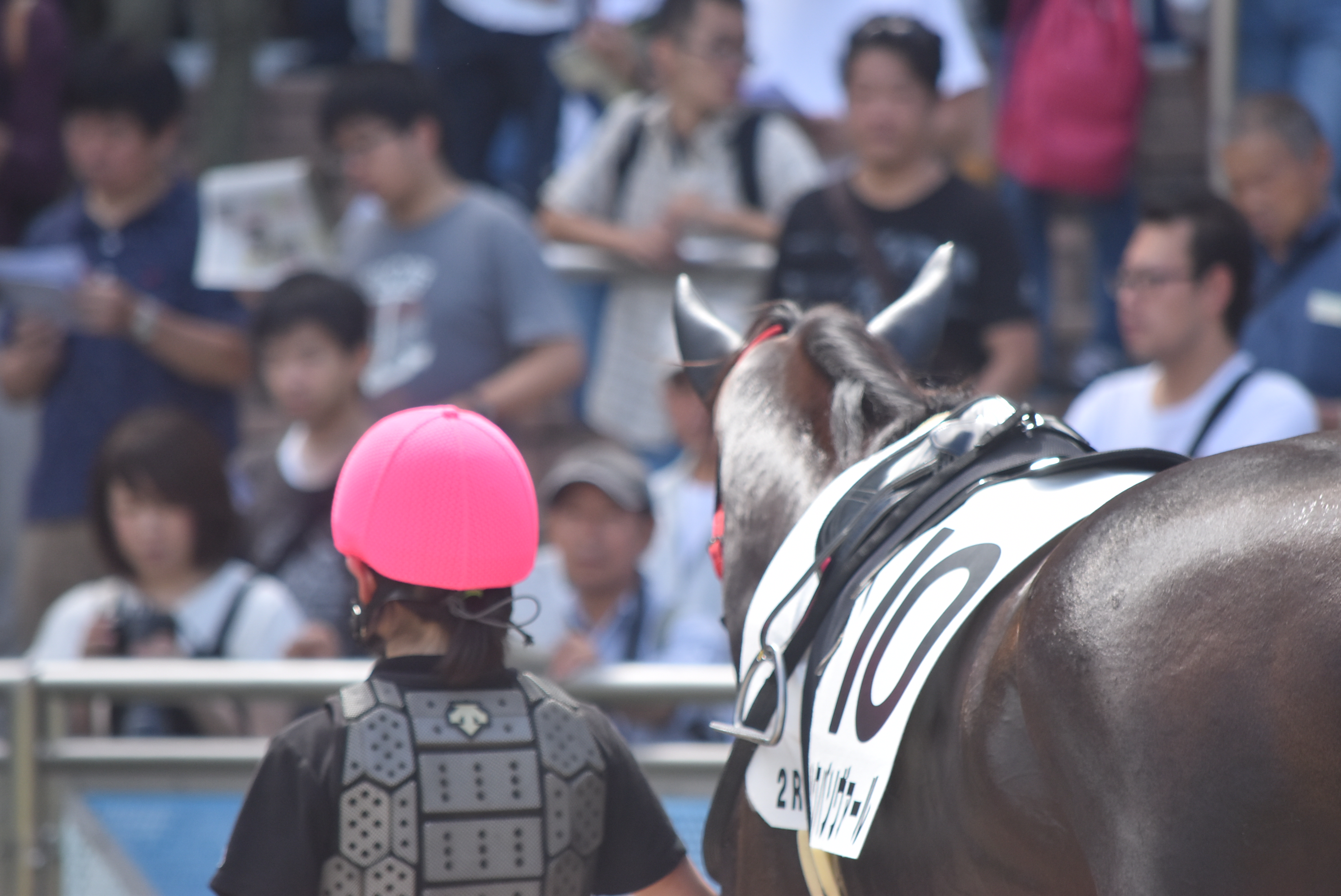 「馬と生きる」未来までサポート