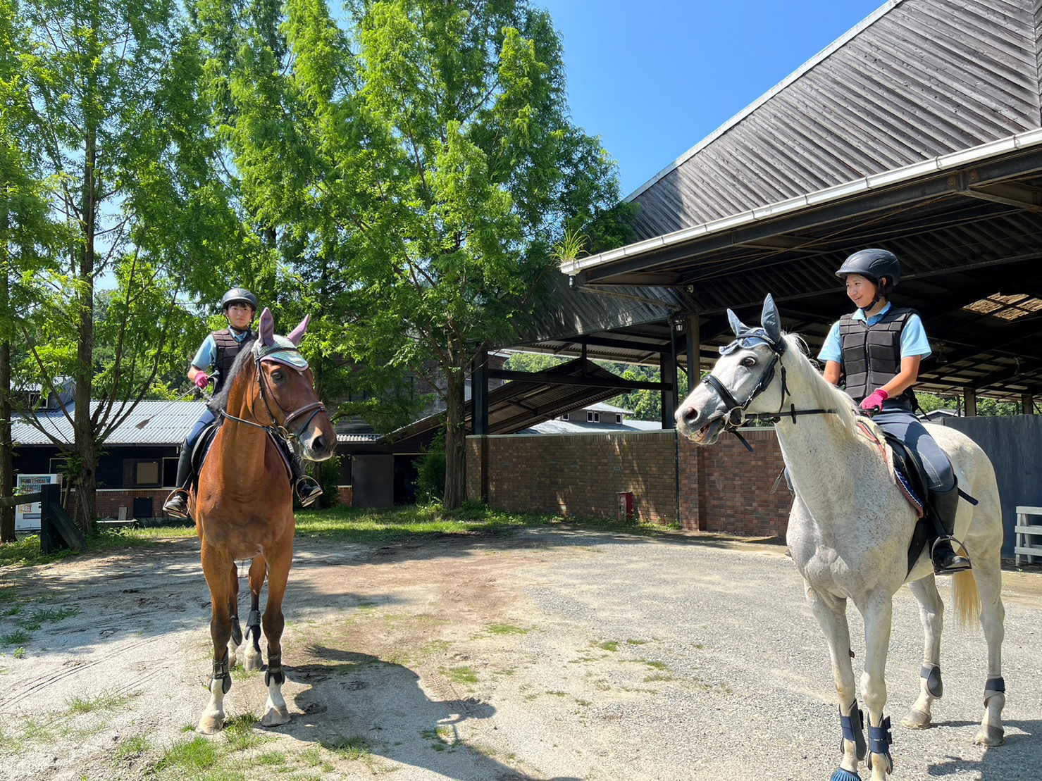 大好きな馬との授業