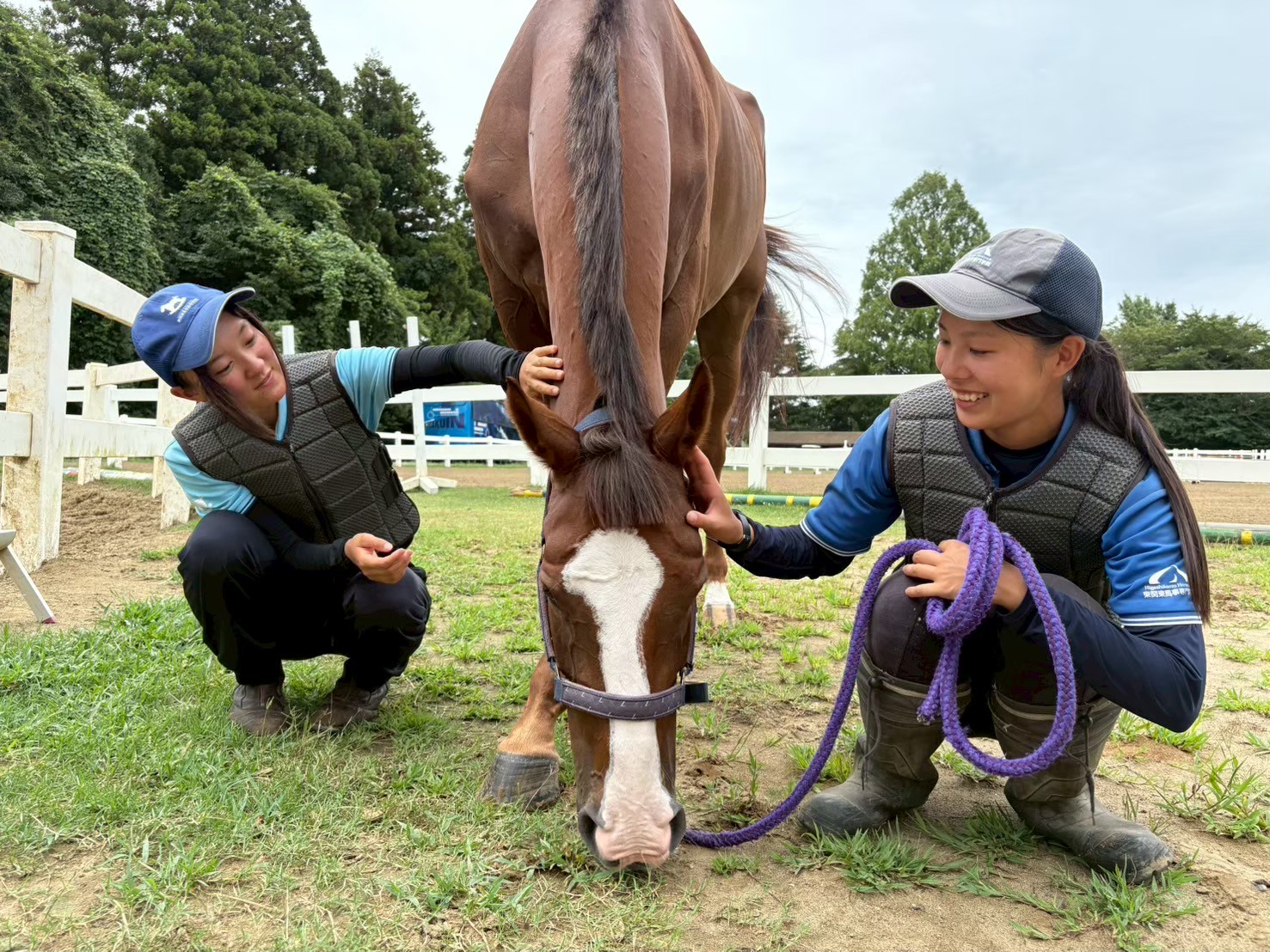 集合・馬たちに「また明日」