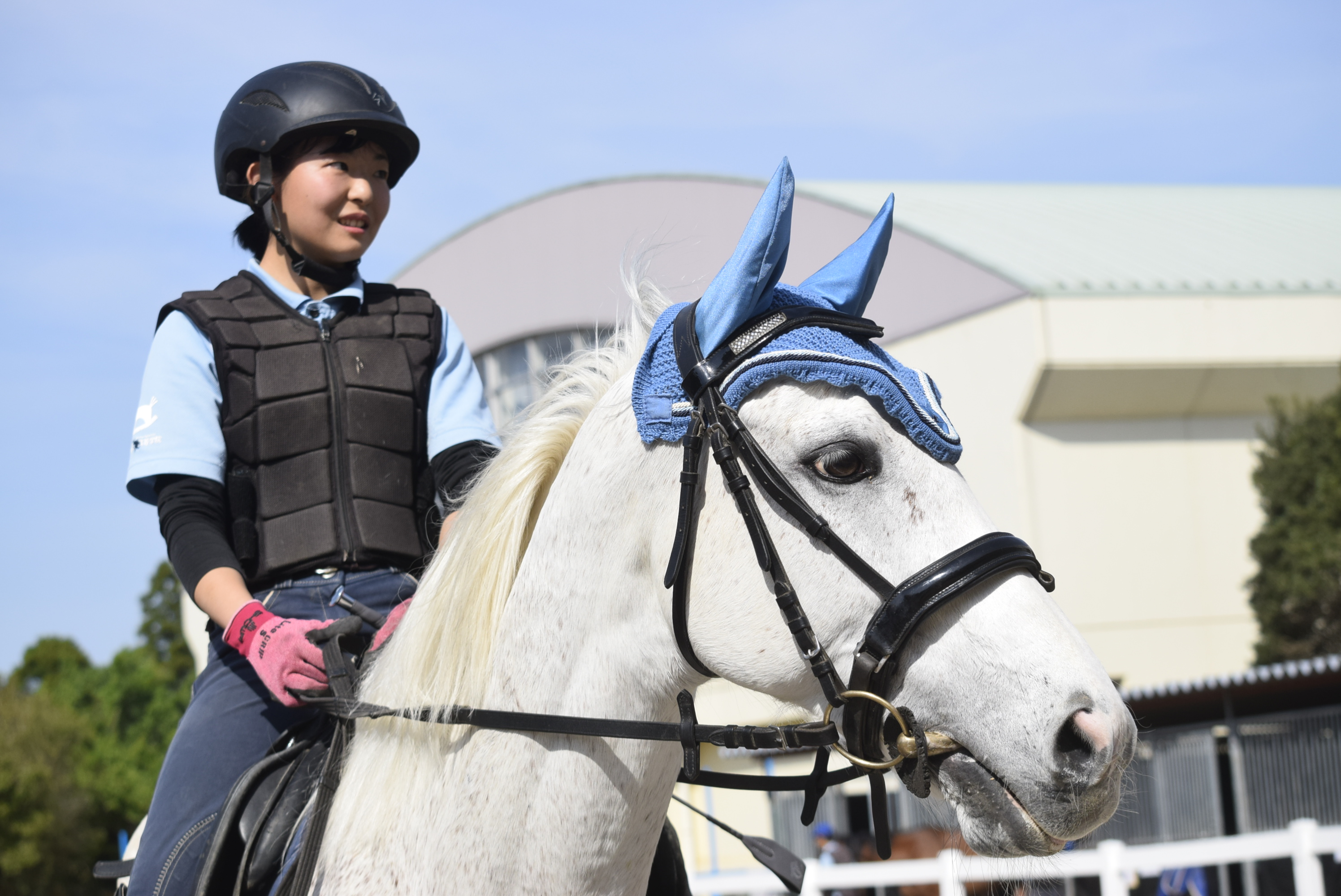 生徒と馬が向き合うバジガクの日常