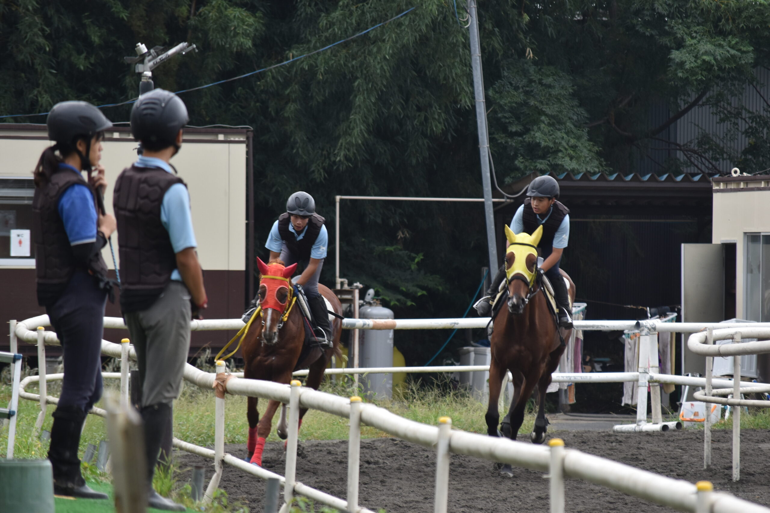 馬とふれあいながら過ごす生徒