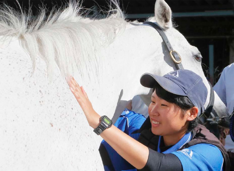 入学したらひとりに1頭、「担当馬」がつきます