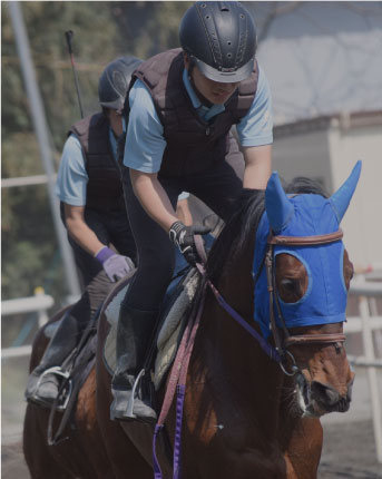 競走馬厩務員コース
