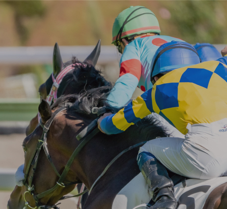 NAR 地方競馬騎手